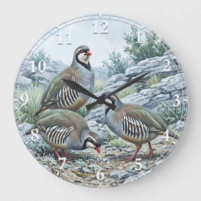 Relógio Grande Perdiz-grega, Alectoris Graeca Aves de Caça (Frente)