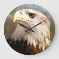 Perfil orgulhoso da águia americana
