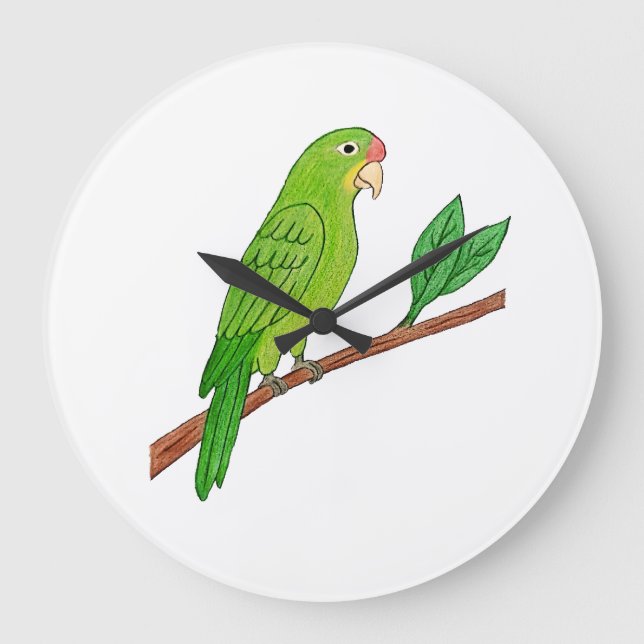 Relógio Grande Perico verde del trópico (Frente)