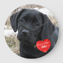 Pet Photo Memorial - Add Your Photo - Dog Photo