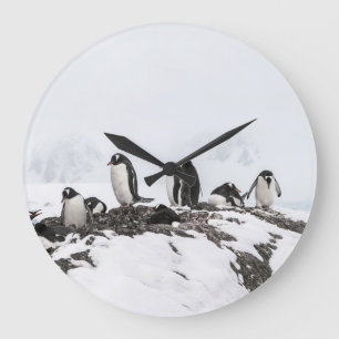 Relógio Grande Pinguins, Antártica, Estação Vernadsky.