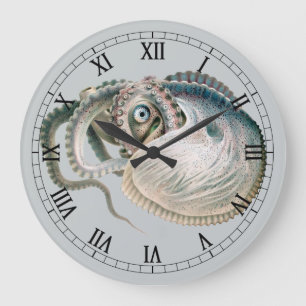 Relógio Grande Polvo Argonauta, Animais Marinhos Antigos