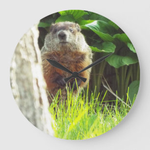 Relógio Grande Pulso de disparo de Groundhog