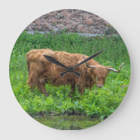 Pulso de disparo de parede da vaca das montanhas