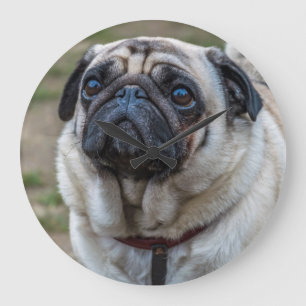 Relógio Grande Pulso de disparo de parede do cão do Pug