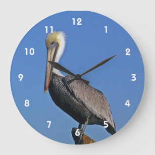 Relógio Grande Pulso de disparo do pelicano