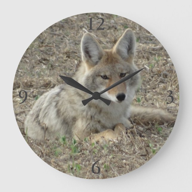 Relógio Grande R22 Coyote Lay (Frente)