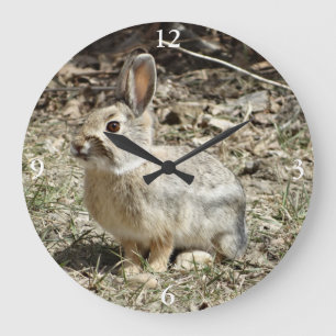 Relógio Grande R24 Coelho de Rabo de Algodão