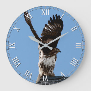 Relógio Grande Raptor de Pássaro de Pé Magnífico de Pé Vermel