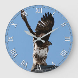 Relógio Grande Raptor de Pássaro de Pé Magnífico de Pé Vermelho