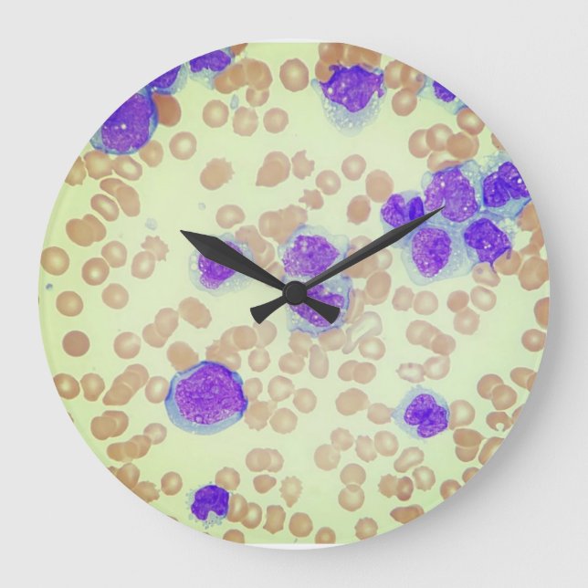 Relógio Grande RBCs WBCs Slide Microscope Hematology Lab (Frente)