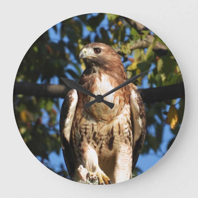 Relógio Grande Red Tailed Hawk (Frente)