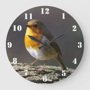 Relógio Grande Robin Clock