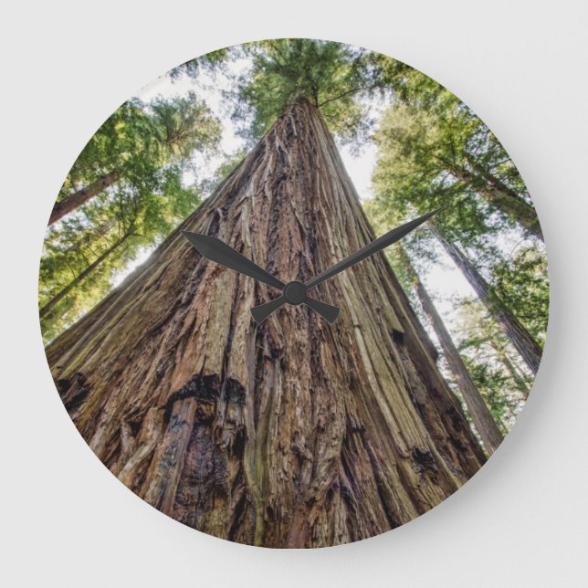 Relógio Grande Roosevelt Grove (Frente)