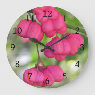 Relógio Grande Rosa das bagas do eixo