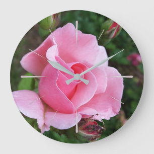 Relógio Grande rosa rosa florescendo
