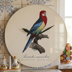 Relógio Grande Rosella-oriental ou periquito Platycercus eximius