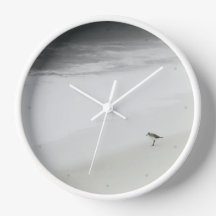 Sandpiper costeiro na praia