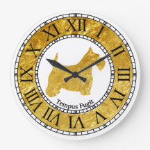 Scottish Terrier Dourado com Dourado