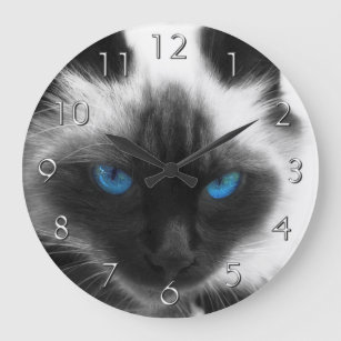 Relógio Grande Siamese Cat
