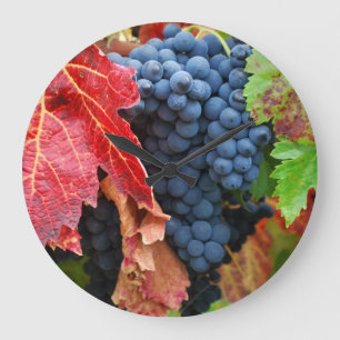 Relógio Grande Sonoma na queda
