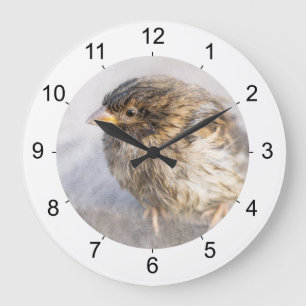 Relógio Grande Sparrow - Falha Epic Previsão do Tempo