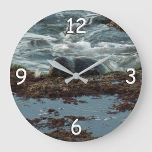 Relógio Grande Sunset Lit Harbor Seal I em San Diego