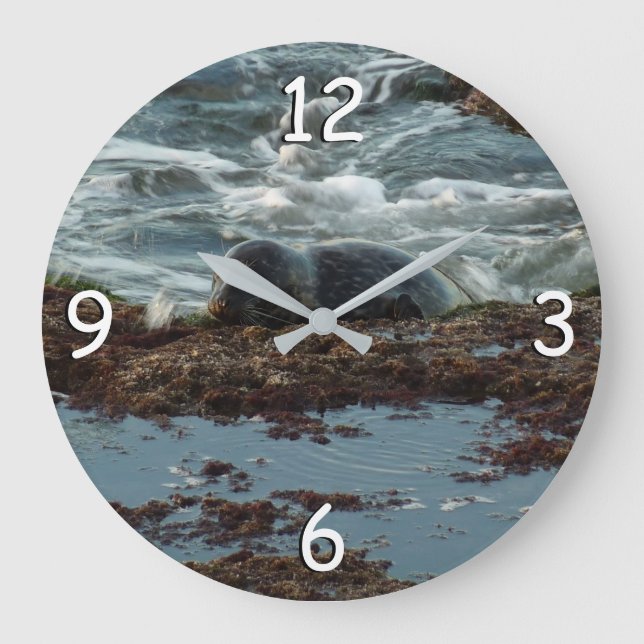 Relógio Grande Sunset Lit Harbor Seal I em San Diego (Frente)