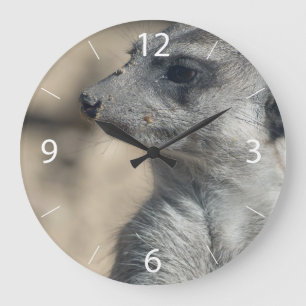 Relógio Grande Suricata engraçada