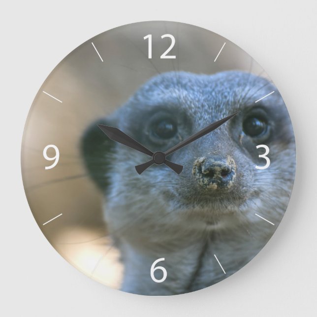 Relógio Grande Suricata engraçada (Frente)