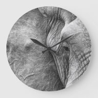 The eye of an elephant