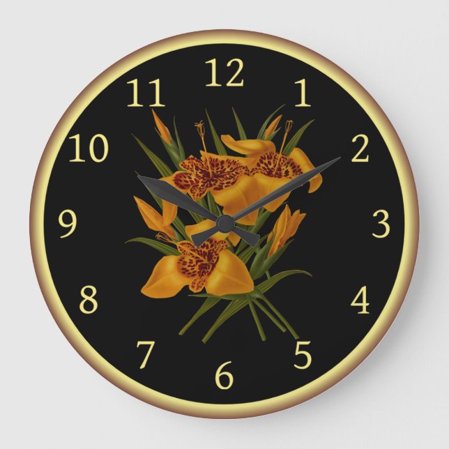 Relógio Grande Tigridia Conchiplora Var Canariensis 008 ~ (Frente)