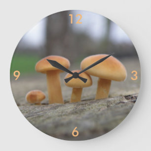 Relógio Grande Toadstools Macro Wall Clock