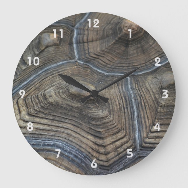 Relógio Grande Tortoisesinferno antigo (Frente)