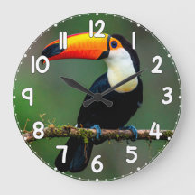 Toucan Wall Clock – Tropical Bird Wildlife Nature 
