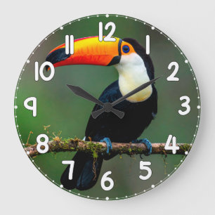 Relógio Grande Toucan Wall Clock – Tropical Bird Wildlife Nature