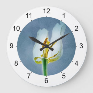 Relógio Grande Tulipa branca murchando flor