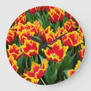 Relógio Grande Tulipa Fabio, Keukenhof, Países Baixos