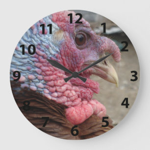 Relógio Grande Turkey Tom Large Clock