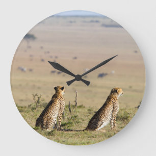 Relógio Grande Two cheetahs on the look out