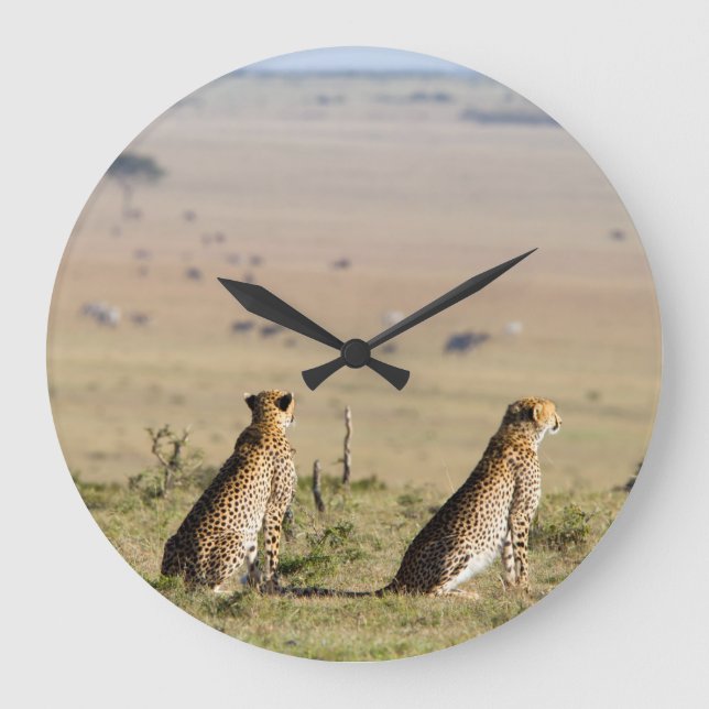 Relógio Grande Two cheetahs on the look out (Frente)