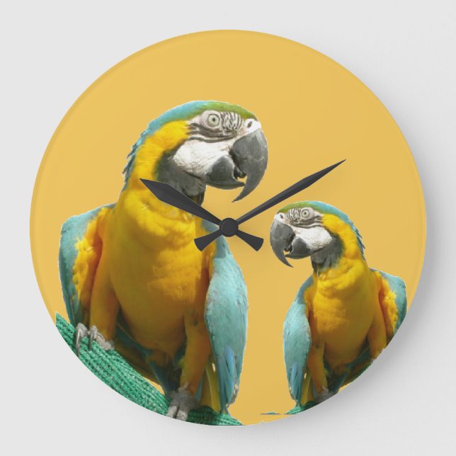 Relógio Grande Two Cute Parrots Round Wall Clock (Frente)