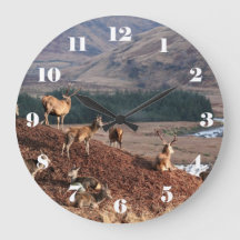 Veado vermelho em Glen Etive, Highlands, na Escóci