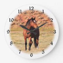 Vinheta do cavalo selvagem de Colorado