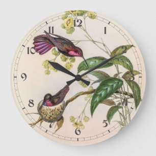 Relógio Grande Vintage Hummingbird por John Gould
