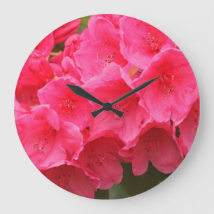 Relógio Grande Washington, Seattle, Puget Sound, Discovery Park