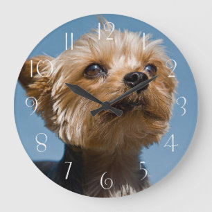 Relógio Grande Yorkshire Terrier