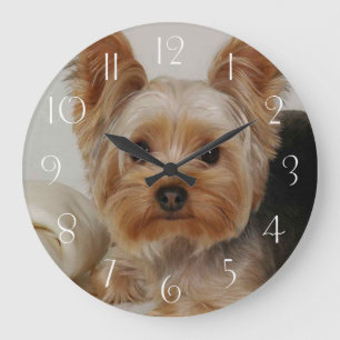 Relógio Grande Yorkshire Terrier