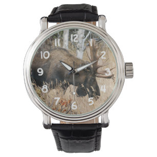 Relógio Grazing Moose