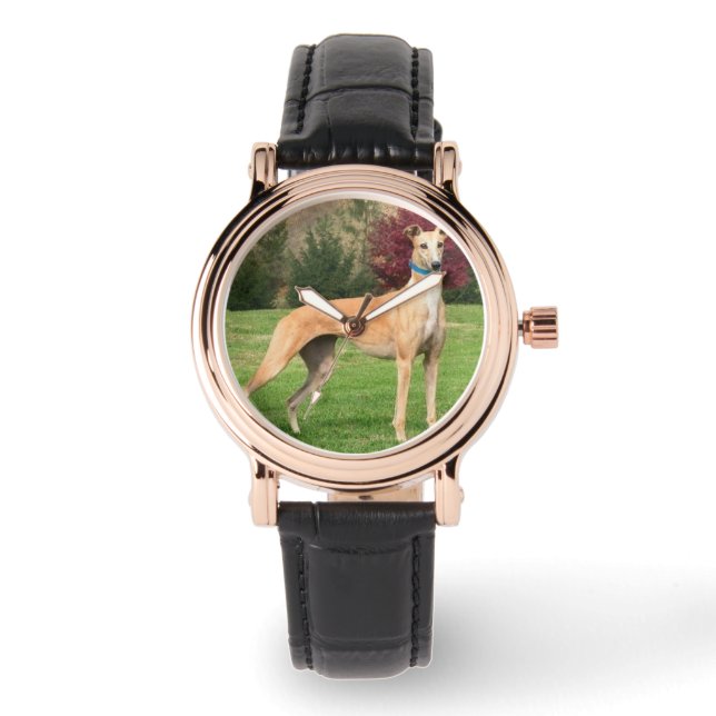 Relógio Greyhound Watch (Frente)